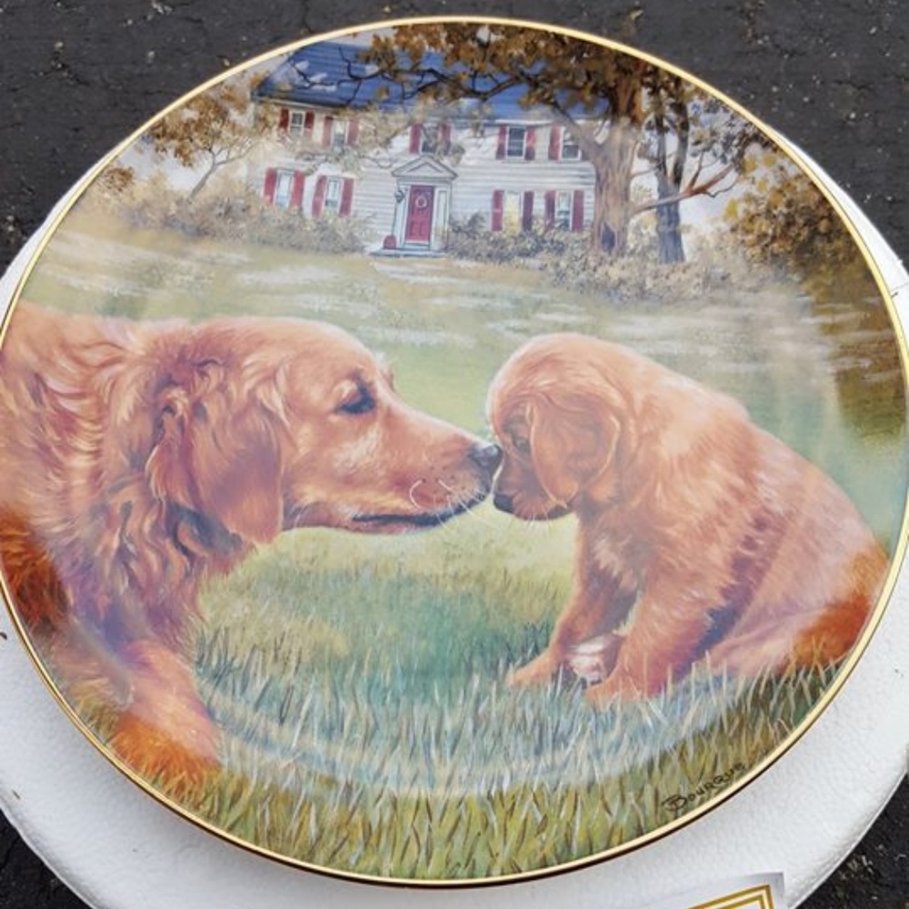 Collectible decor plates